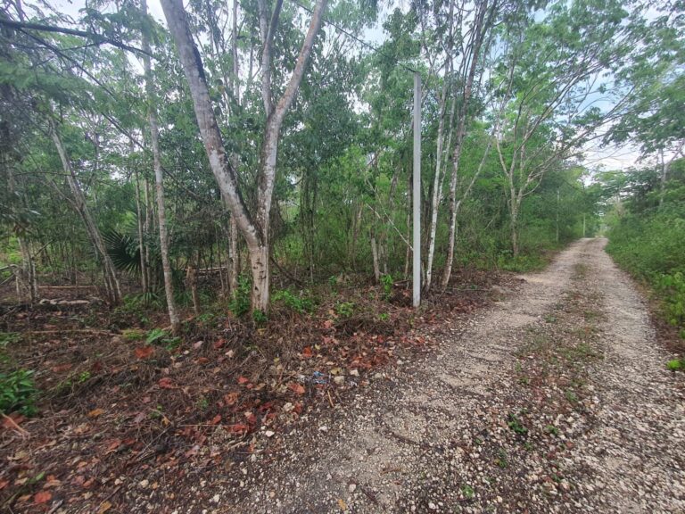 land.fransisco-uhmay-real-estate-in-playa-del-carmen